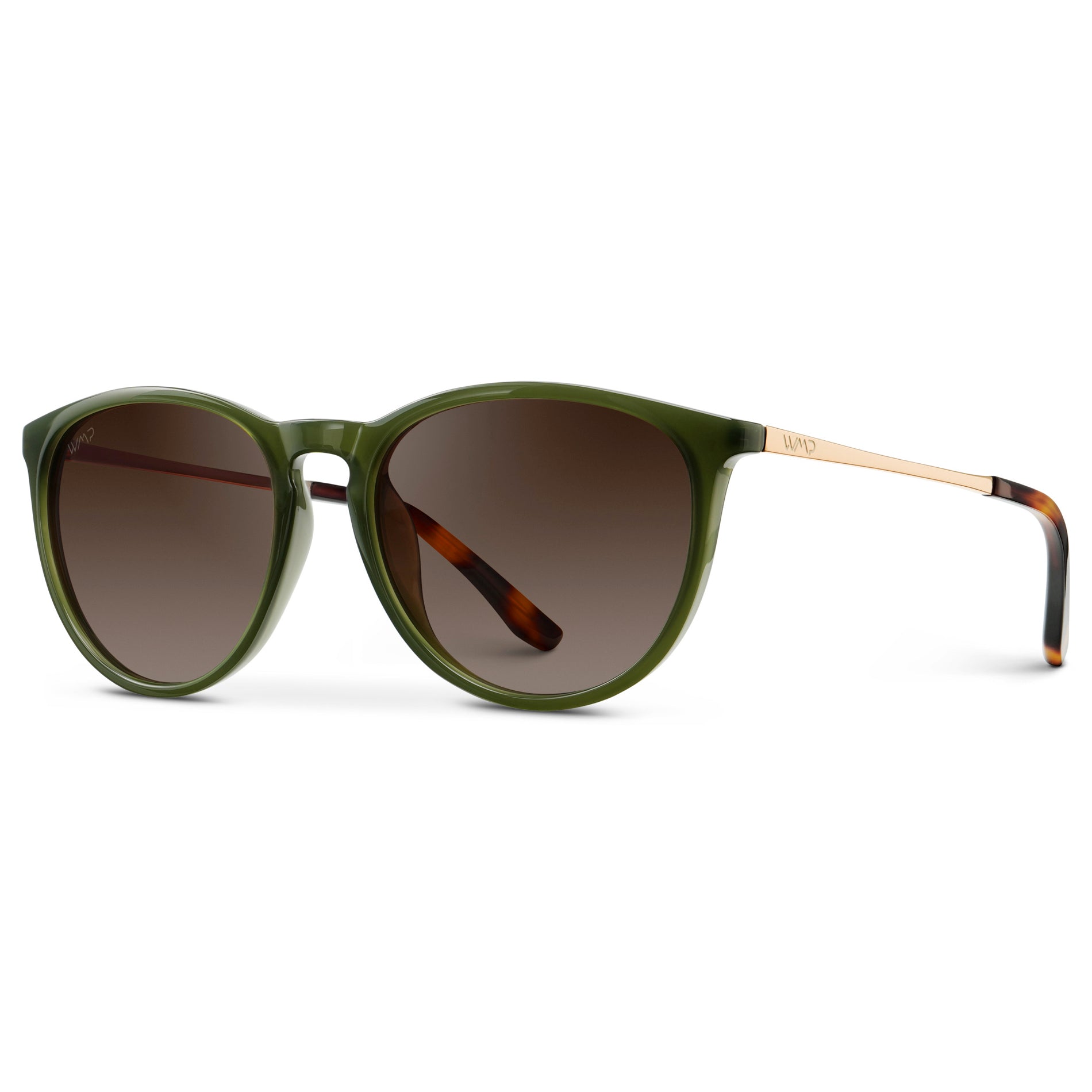 Drew | 1019 Polarized