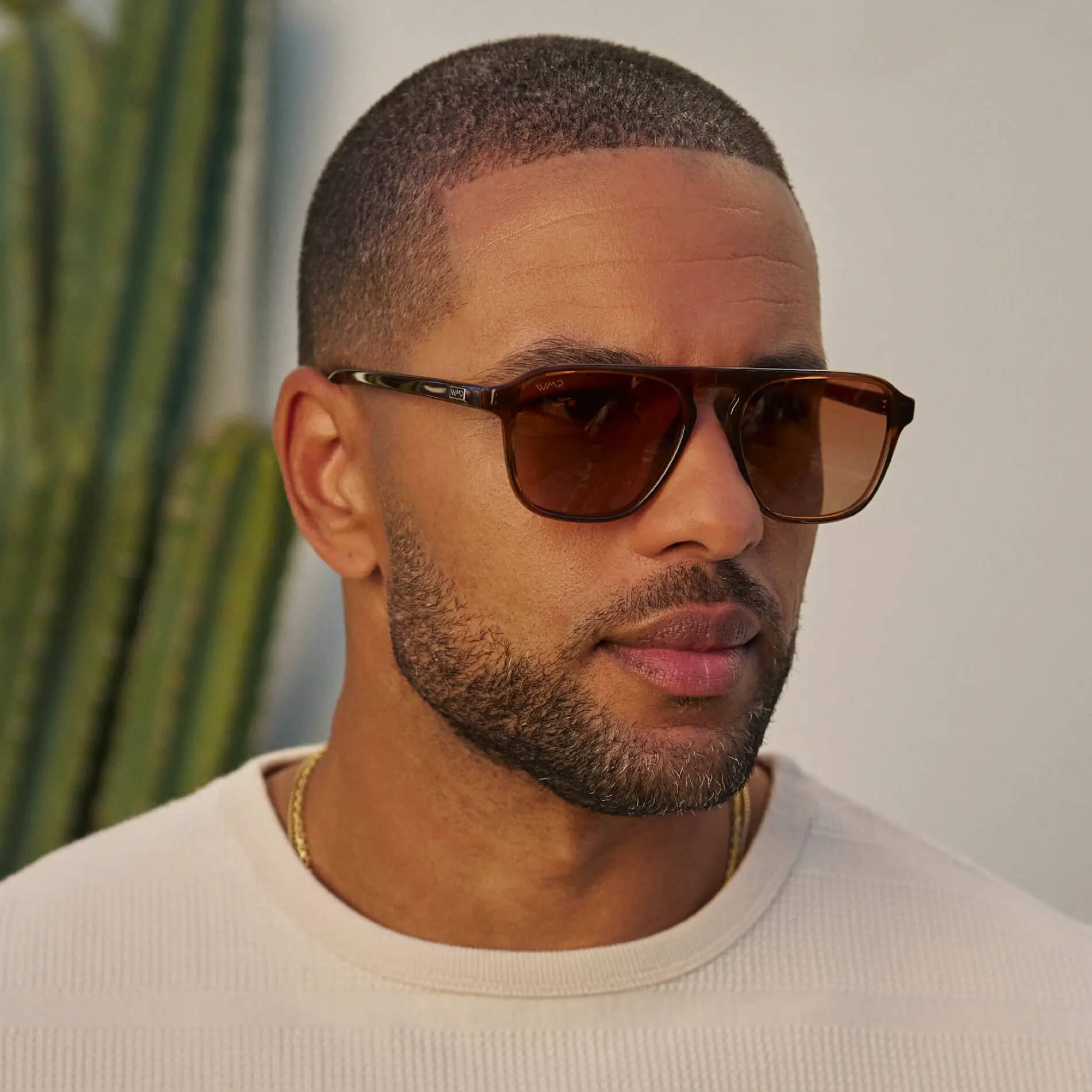 Emerson | Avi005 Polarized