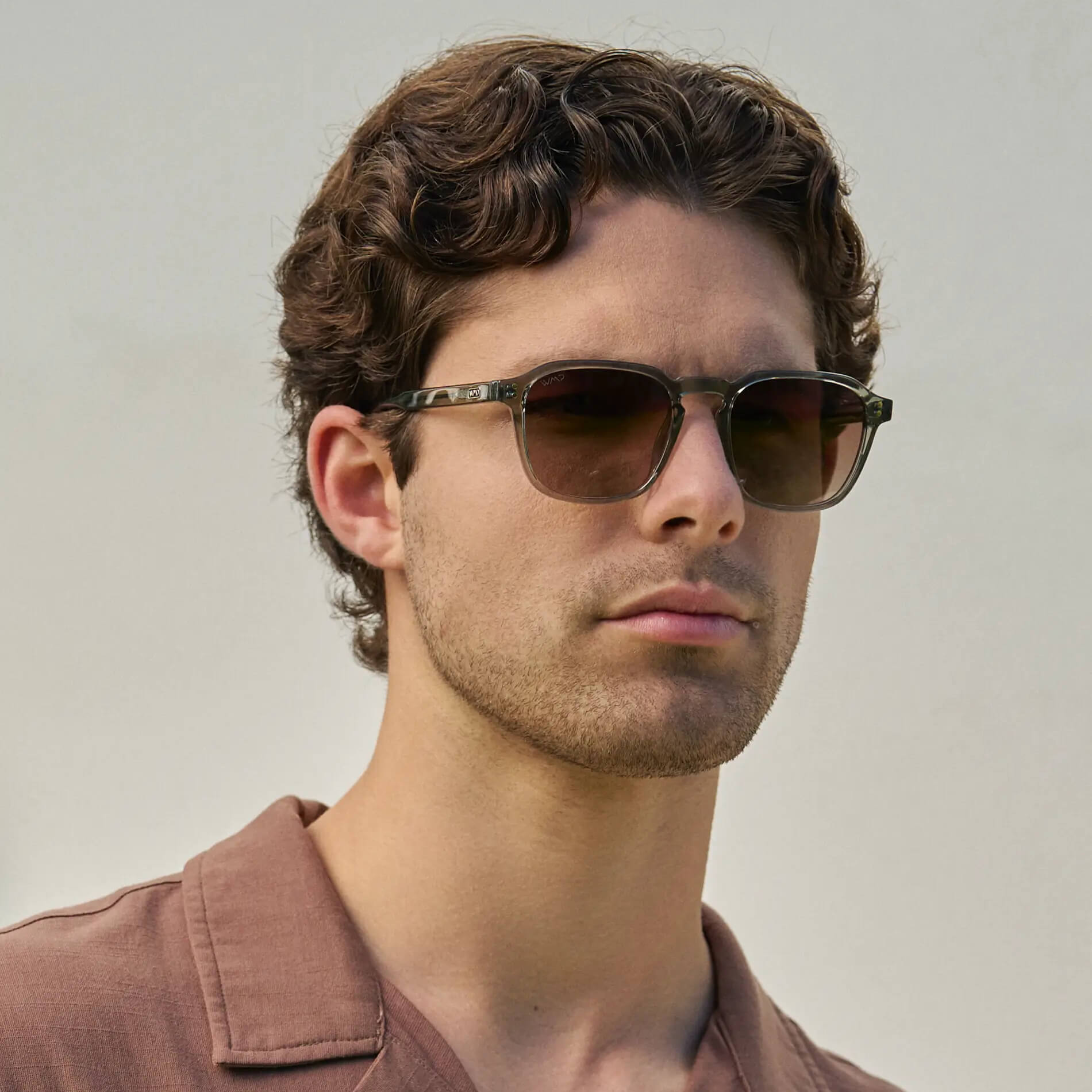 Francis | 1073 Polarized