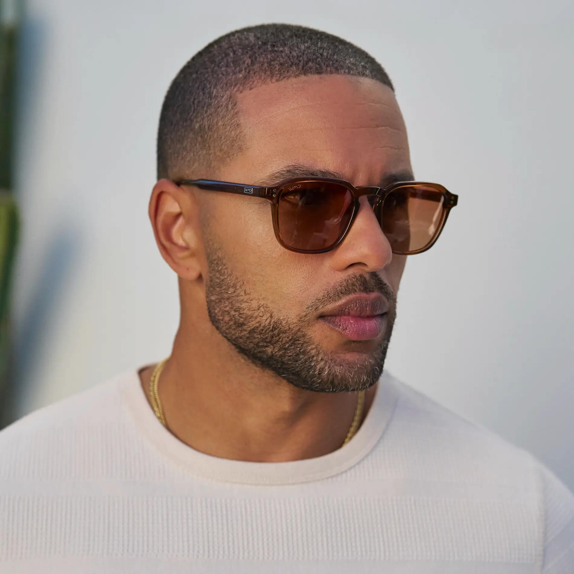 Francis | 1073 Polarized