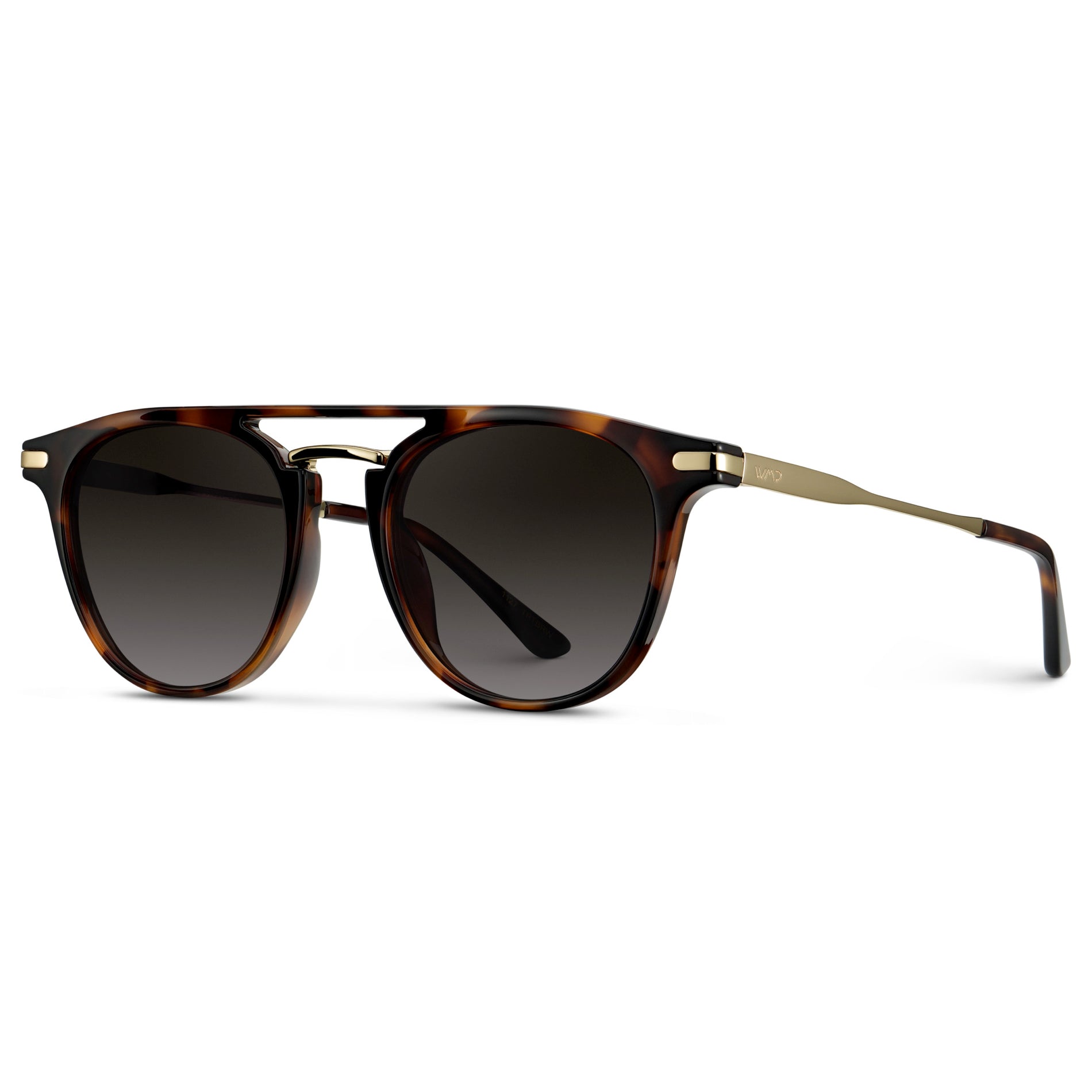 Hayes | 1127 Polarized