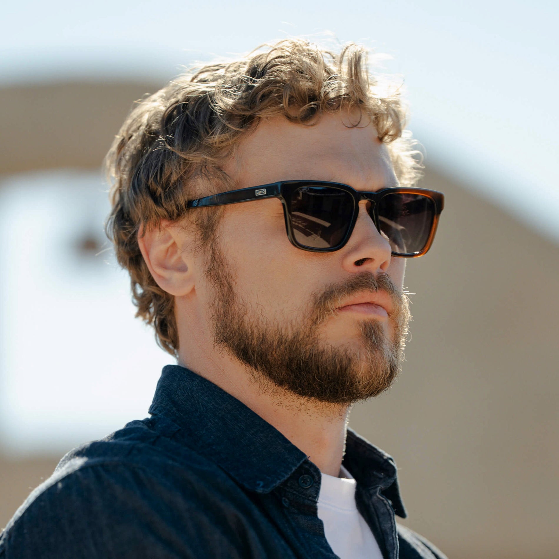 Maverick | 1123 Polarized