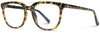 BL1007